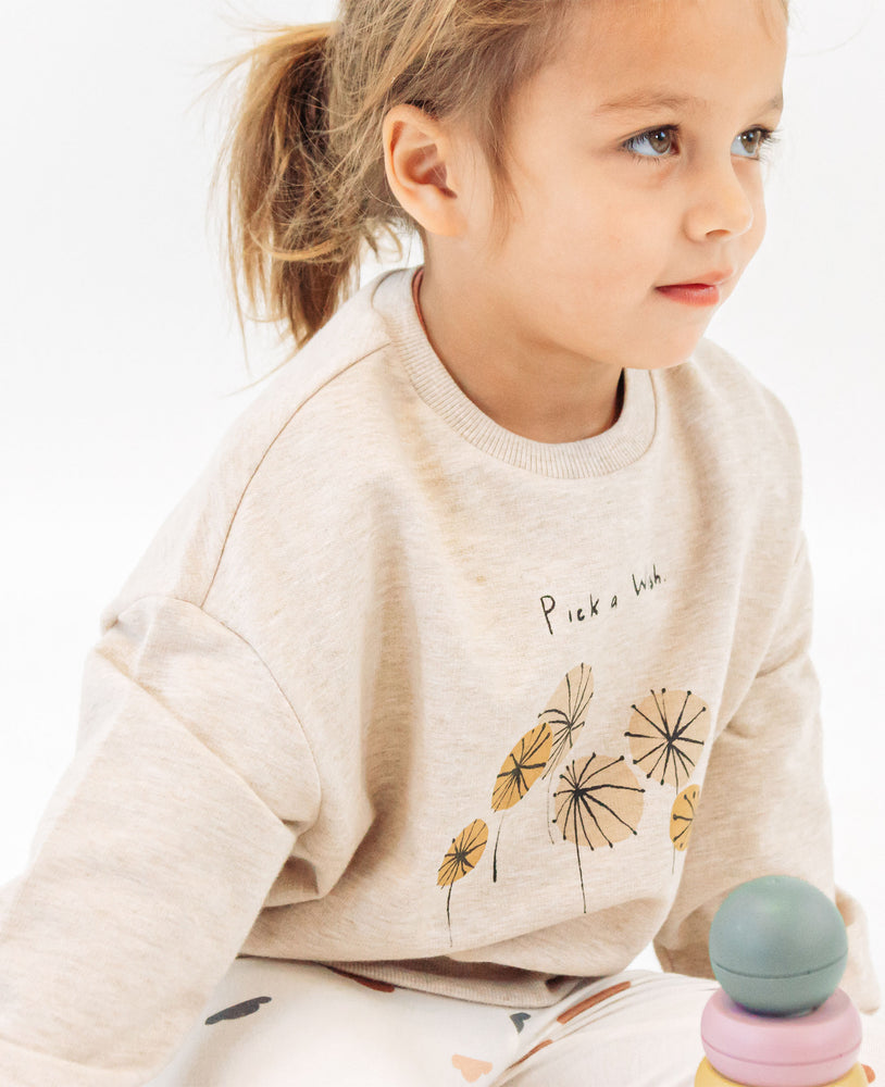 
            
                Load image into Gallery viewer, Pick a Wish French Terry Sweatshirt - Seasalt
            
        