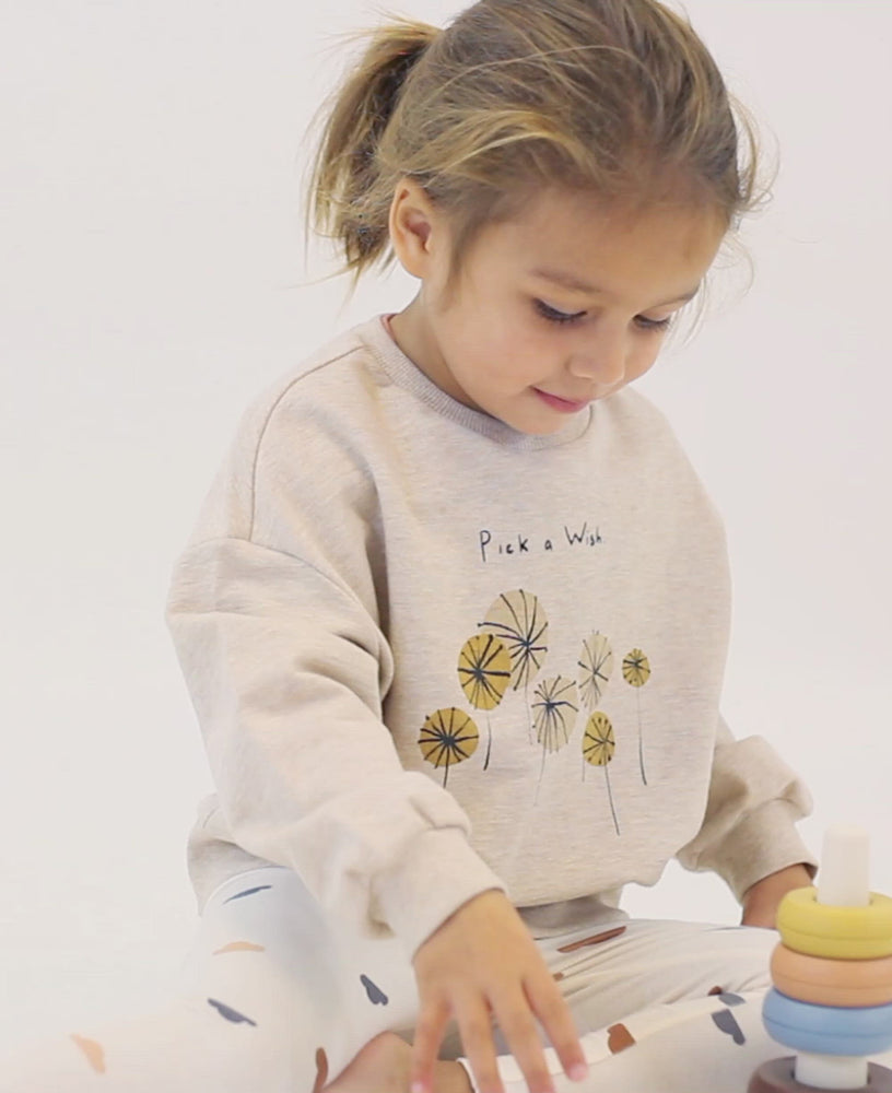 
            
                Load and play video in Gallery viewer, Pick a Wish French Terry Sweatshirt - Seasalt
            
        